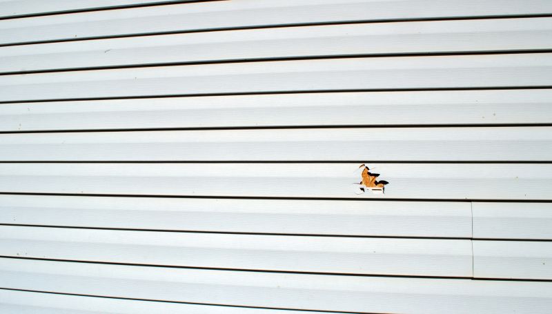 Patch and Seal Process